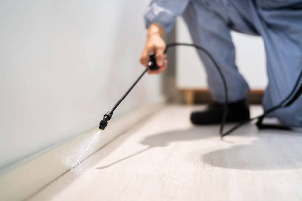 Bed Bug Pre-Treatment Preparation Assessment in St. Hedwig