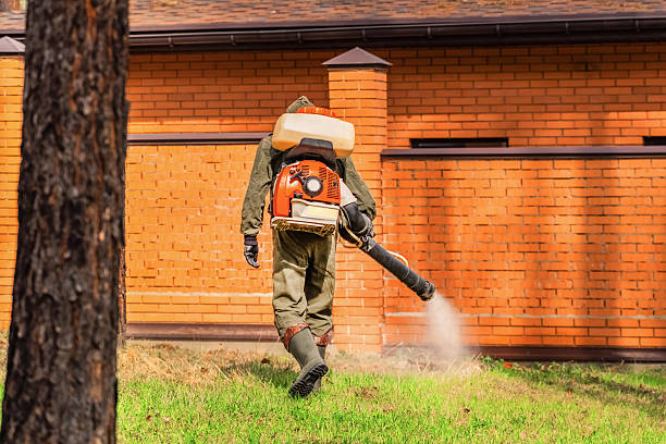 Bed Bug Clearance Verification and Documentation in St. Hedwig